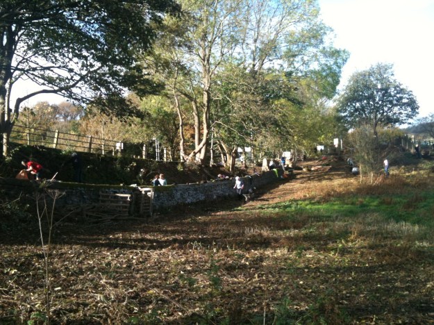 Volunteers get stuck in at the HWRG working party