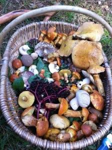 © Mina Said-Allsopp