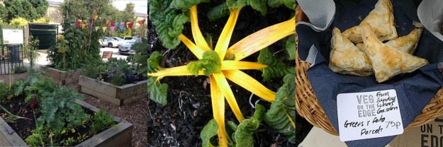 Vote news banner May 2016