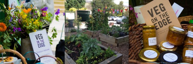 Festival 2016 banner