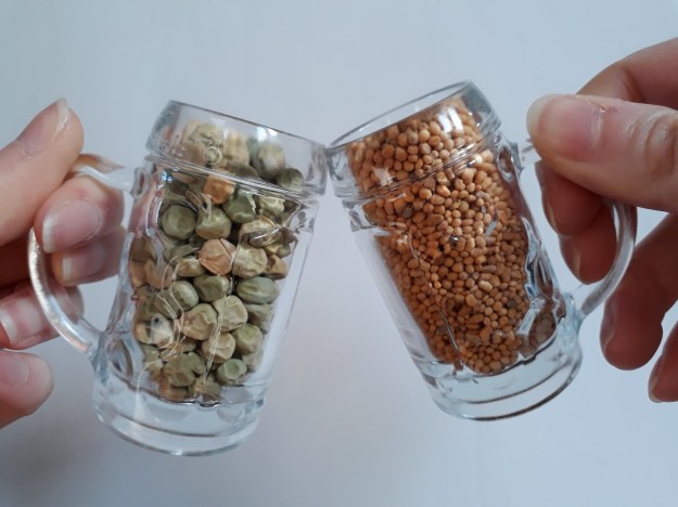 thumbnail_20190202_130930